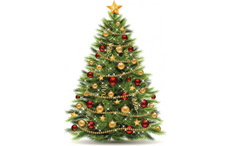 Informations au sujet de la salle